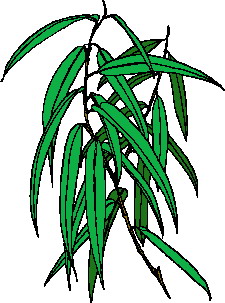 Leaves clip art