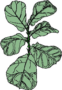 Leaves clip art