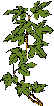 Leaves clip art