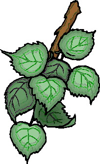 Leaves clip art