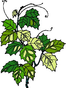 Leaves clip art