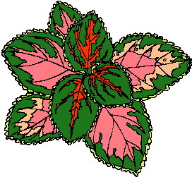 Leaves clip art