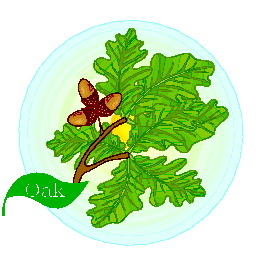 Leaves clip art