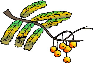 Leaves clip art
