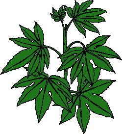 Leaves clip art