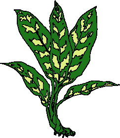 Leaves clip art