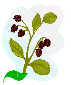 Leaves clip art