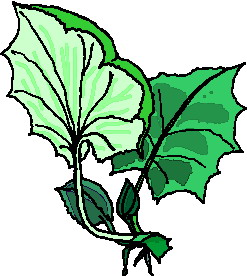Leaves clip art
