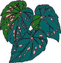 Leaves clip art