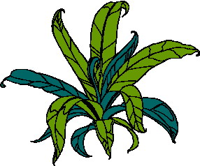 Leaves clip art