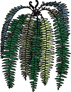 Leaves clip art