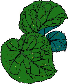 Leaves clip art