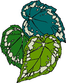 Leaves clip art