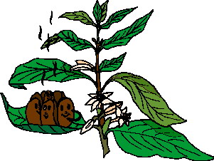 Leaves clip art