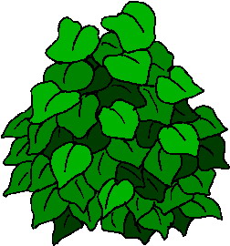 Leaves clip art