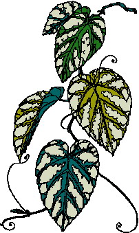 Leaves clip art