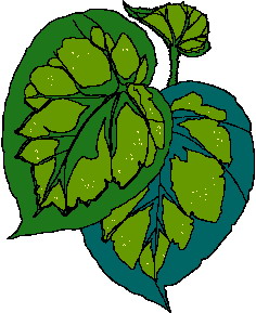 Leaves clip art