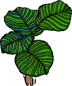 Leaves clip art