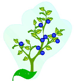 Leaves clip art