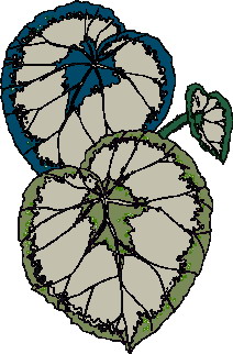 Leaves clip art