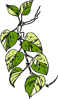 Leaves clip art