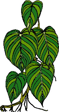 Leaves clip art