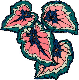 Leaves clip art