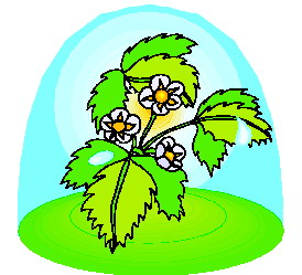 Leaves clip art