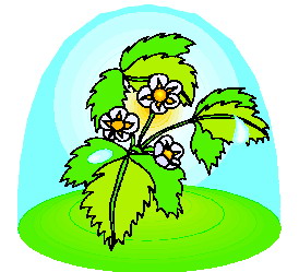 Leaves clip art