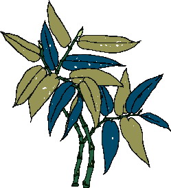 Leaves clip art