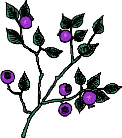 Leaves clip art