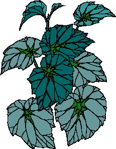 Leaves clip art