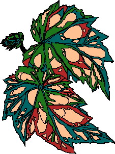 Leaves clip art