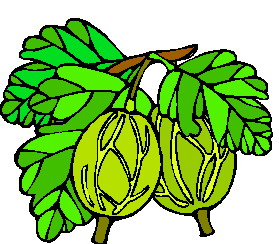 Leaves clip art