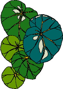 Leaves clip art