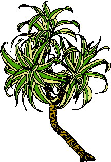 Leaves clip art