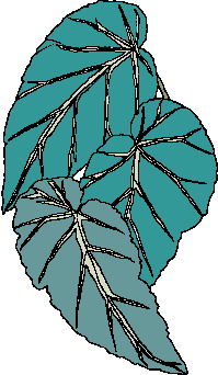 Leaves clip art
