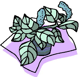 Leaves clip art