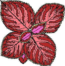 Leaves clip art