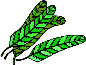 Leaves clip art