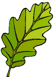 Leaves clip art