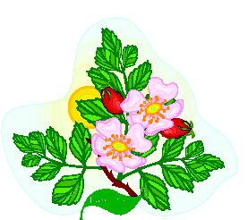 Leaves clip art
