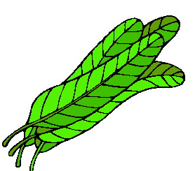 Leaves clip art