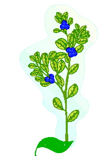 Leaves clip art