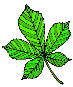 Leaves clip art