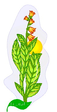 Leaves clip art