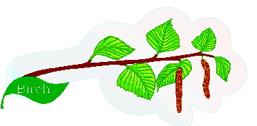 Leaves clip art