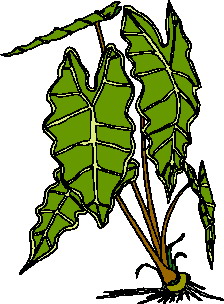 Leaves clip art