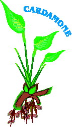 Leaves clip art