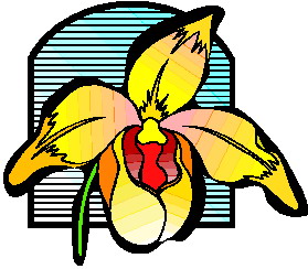 Orchid clip art